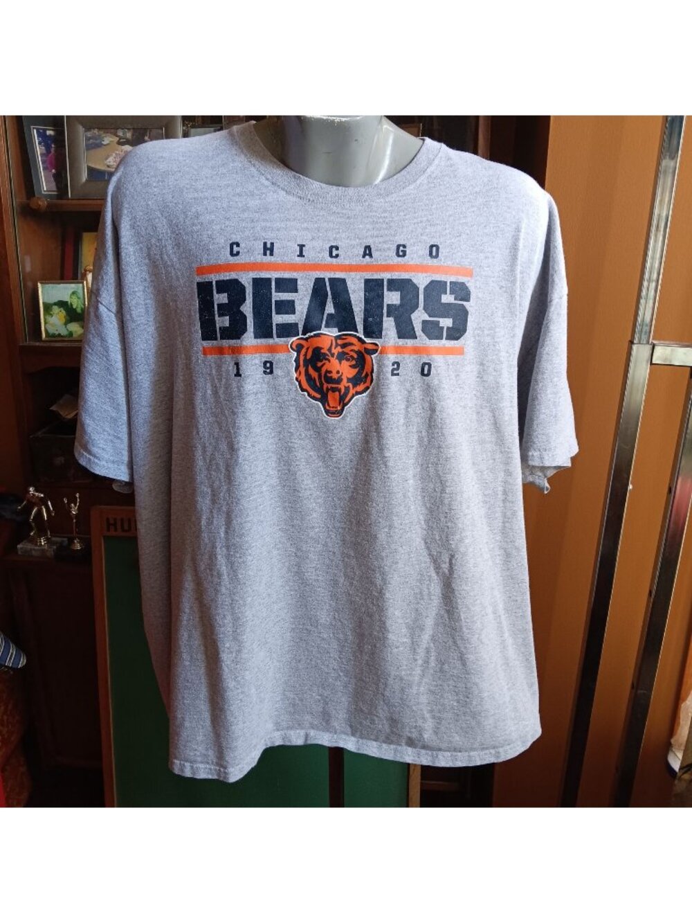 Chicago Bears NFL Team Apparel Gray Graphic T-Shirt 3XL